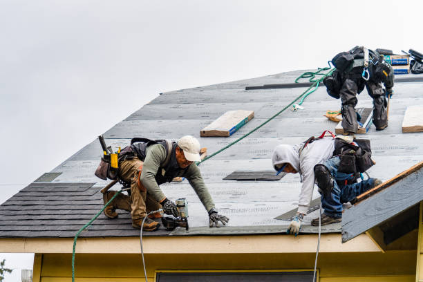 Professional Gutter Installation technician working in Laramie, WY